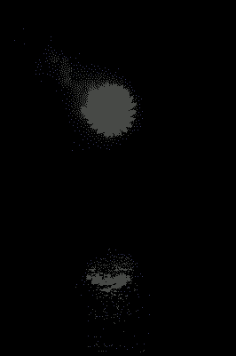 Gifs animés feux d'artifices 15